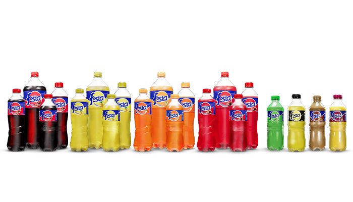 Festa